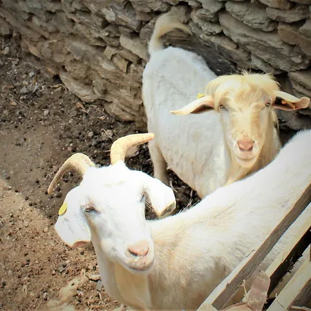 Gaia Vacation Agia Mavra