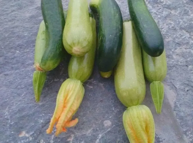 Дом отдыха Gaia Vacation *