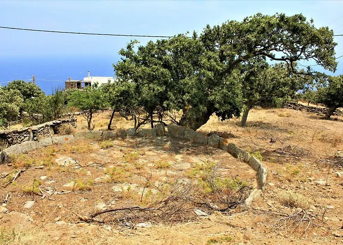 Gaia Vacation Дом отдыха *