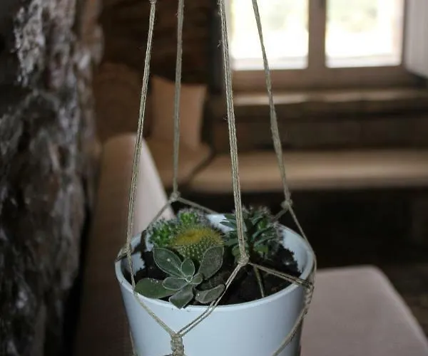 Gaia Vacation Agia Mavra